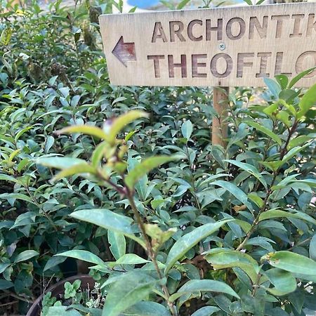 Appartamento Αrchontiko Theofilou Salonicco Esterno foto